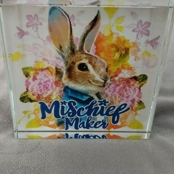 DanDee Peter Rabbit Mischief Maker Easter Table Decor Glass 5" x 5" Paperweight - Picture 3 of 6